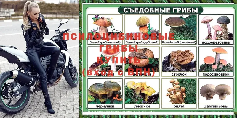 Псилоцибиновые грибы Magic Shrooms  как найти закладки  ссылка на мегу   Мензелинск 